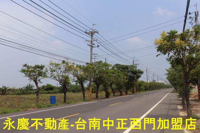 新市農地-10