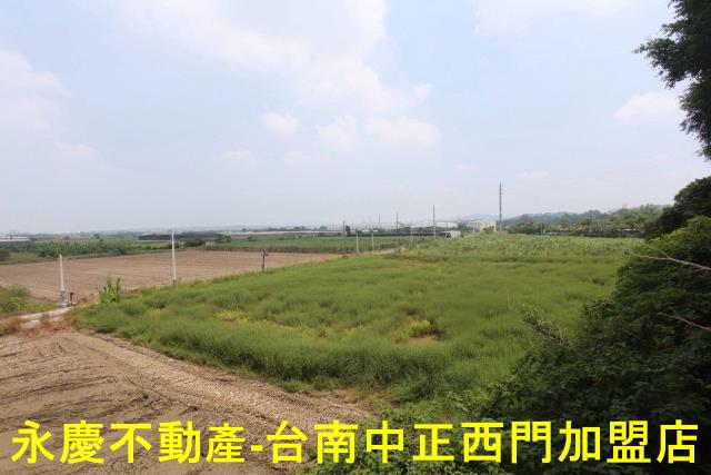 新市農地-4