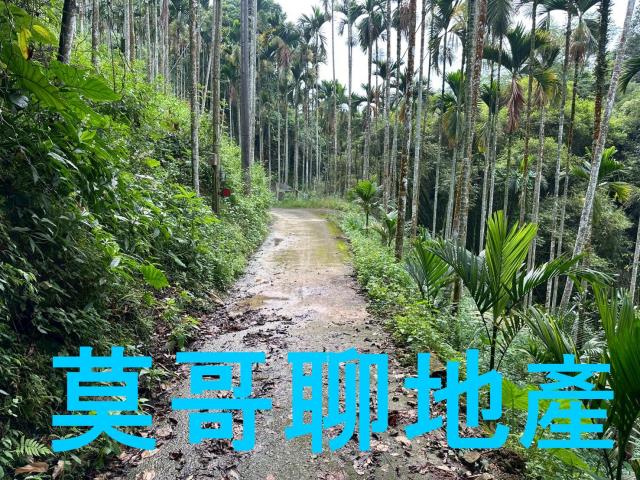 東勢林地-9