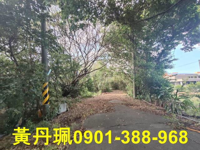 桃園中壢農地-1