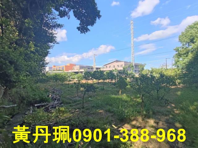 桃園中壢農地-4