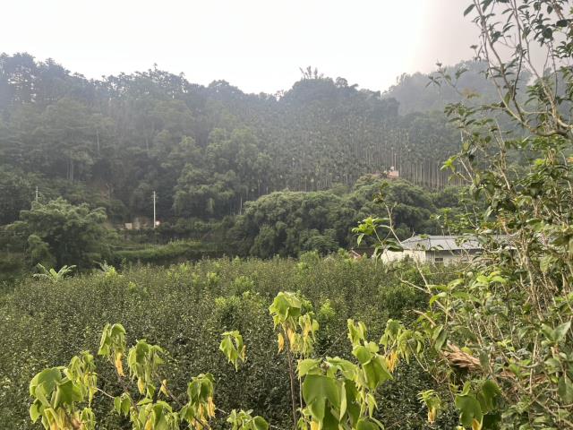 東勢農地-0