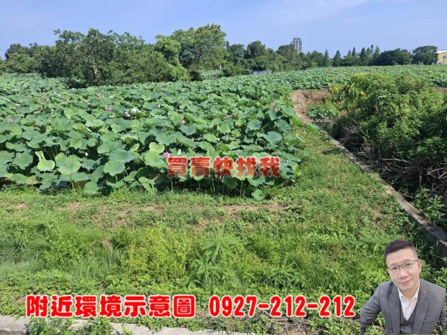 觀音農地-3