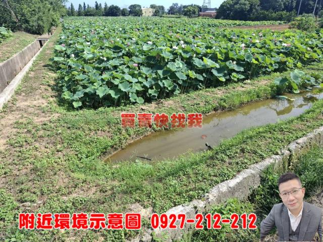 觀音農地-0