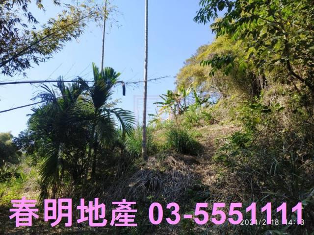 芎林農地-6