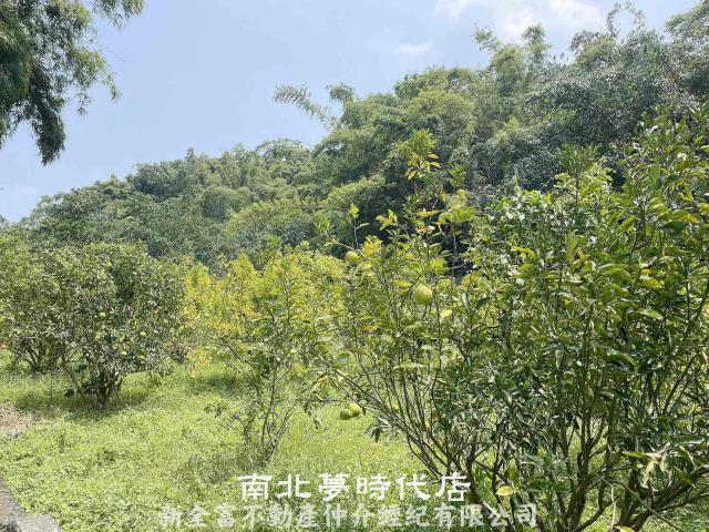 台南農地-5