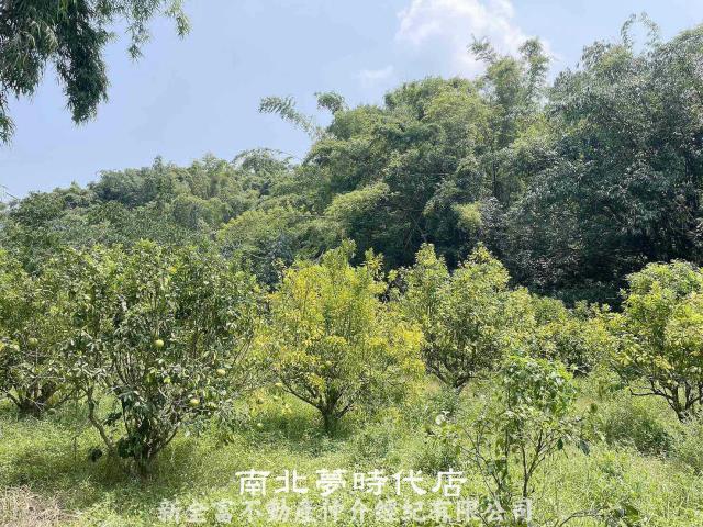 台南農地-6