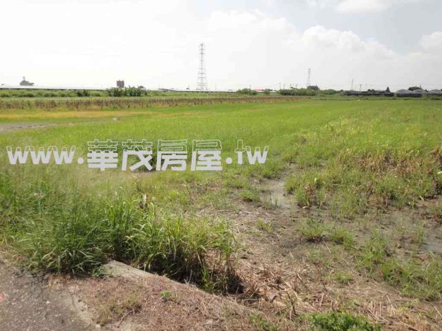 台南學甲農地法拍-3