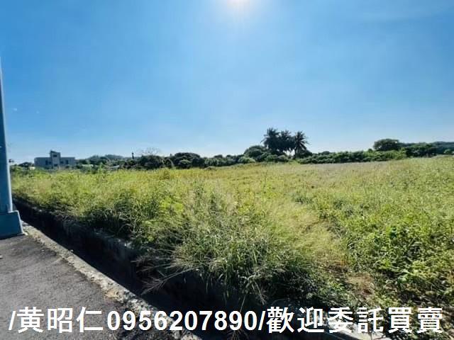 新化農地-5