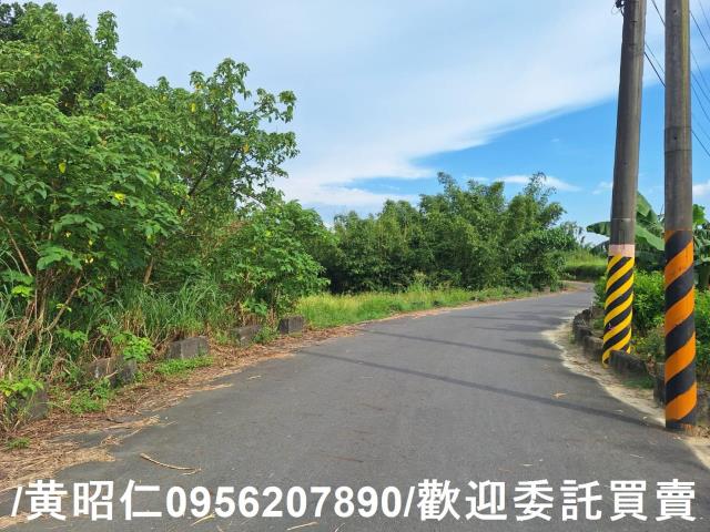 台南關廟農地-4