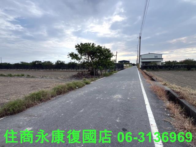 麻豆農地-3