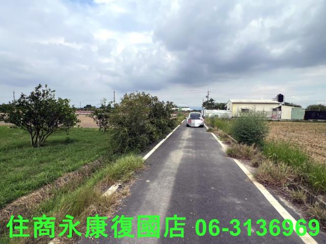麻豆農地-5