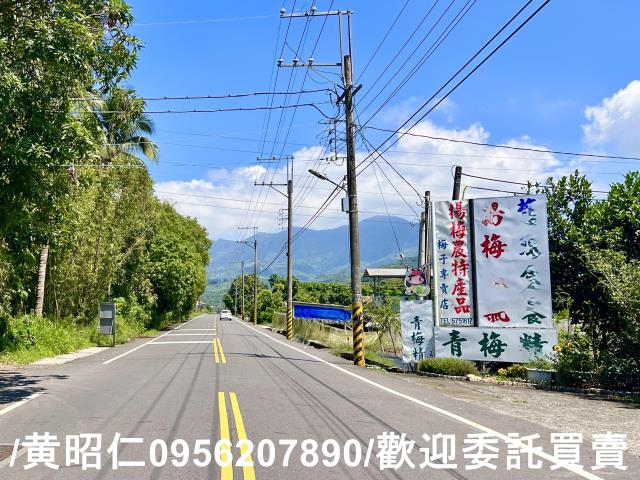 台南農地-1