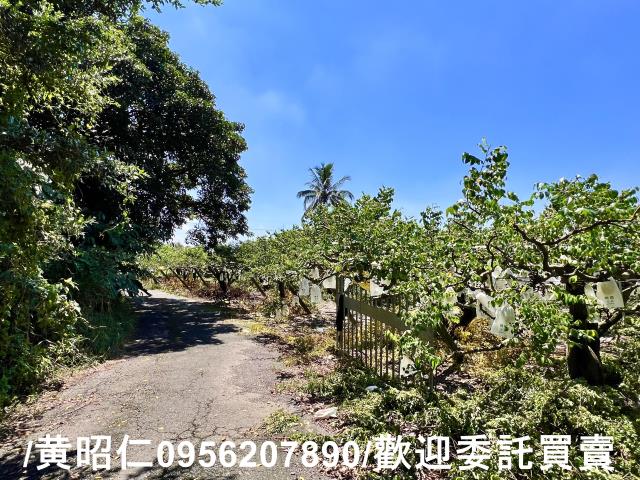 台南農地-5