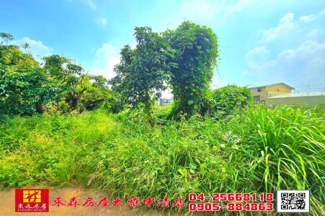 台中農地-2