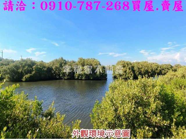 台南農地-3