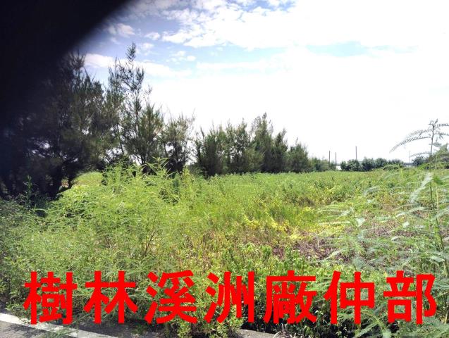 大城農地-1