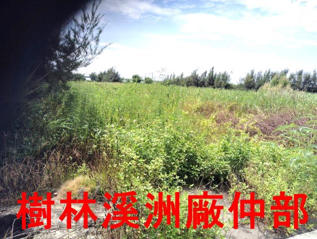 大城農地-2