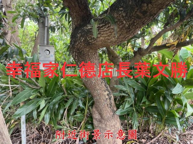 台南農地-9