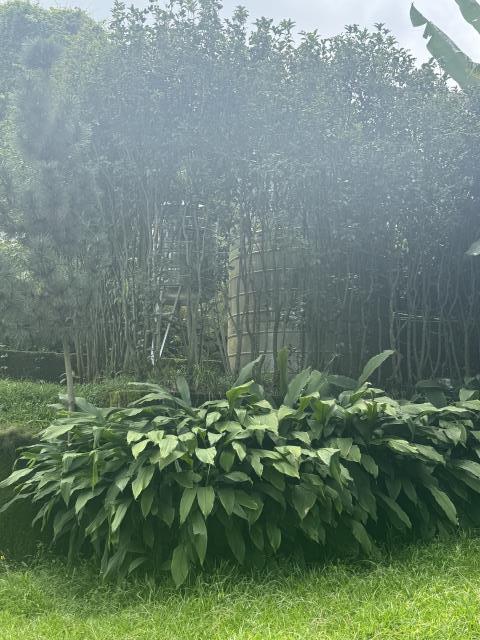 台中農地-6