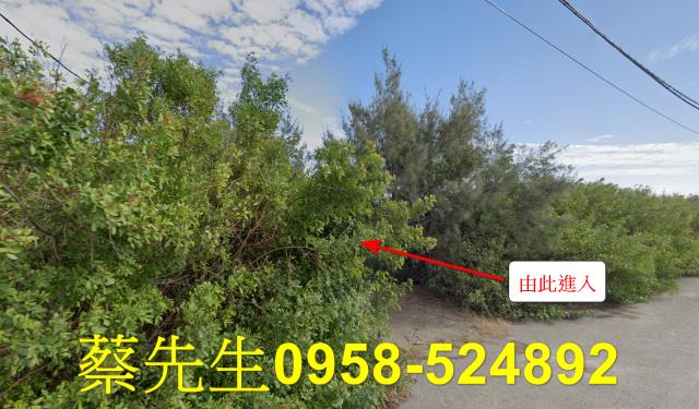 四湖箔子寮農保地可做農保可蓋資材室