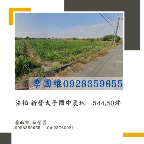 新營法拍農地-0