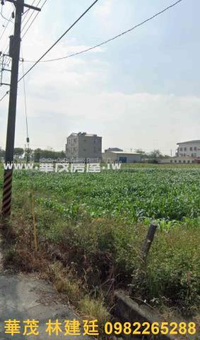 台南新營法拍農地-3