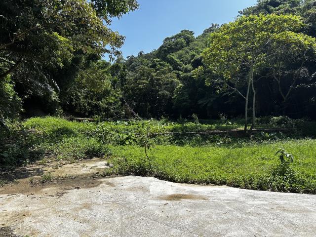 頭屋農地-2