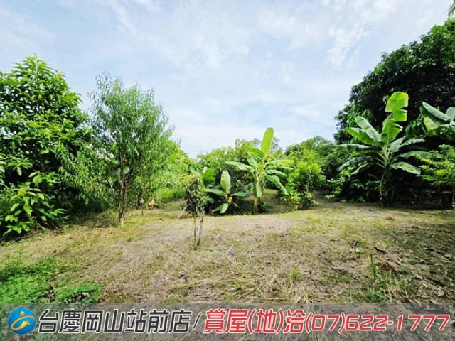 高雄岡山農地-9