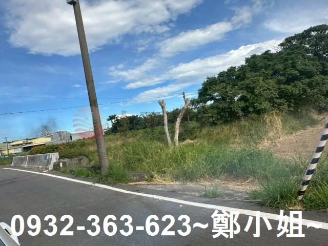 桃園蘆竹農地-1