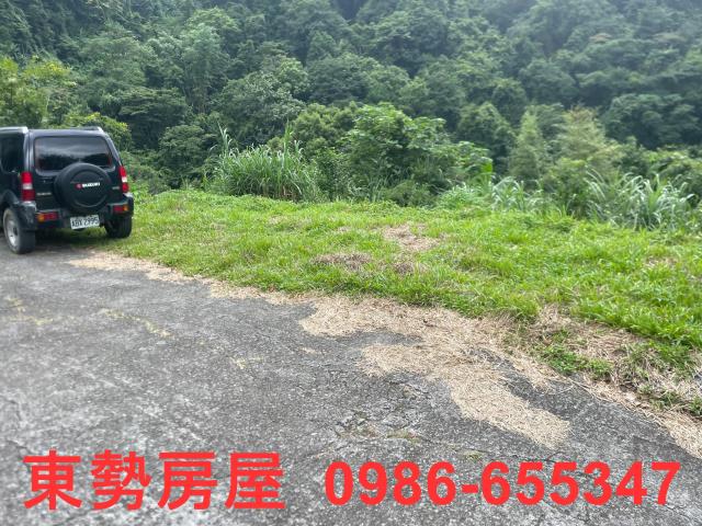 東勢農地-11