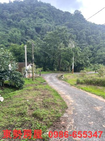 東勢農地-14