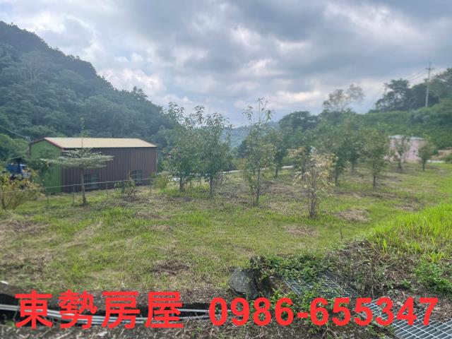 東勢農地-2