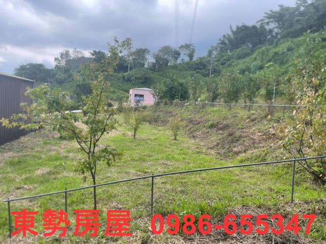 東勢農地-6