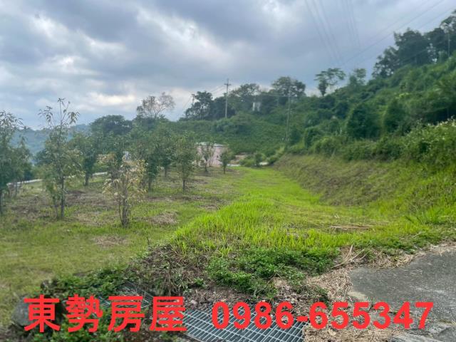 東勢農地-7