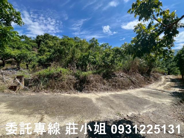 南化農地-7