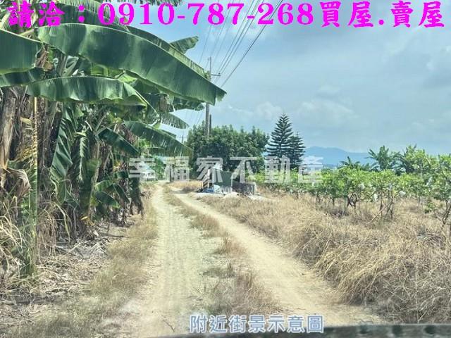 玉井農地-9