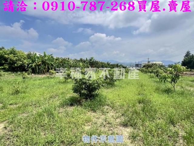 玉井農地-3