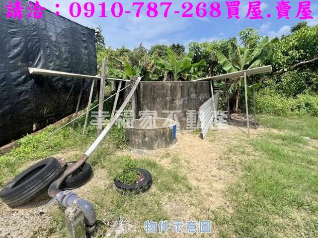 玉井農地-4