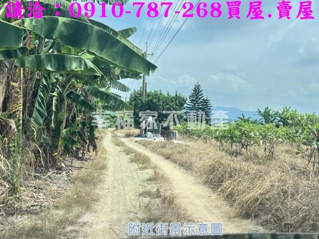 玉井農地-6