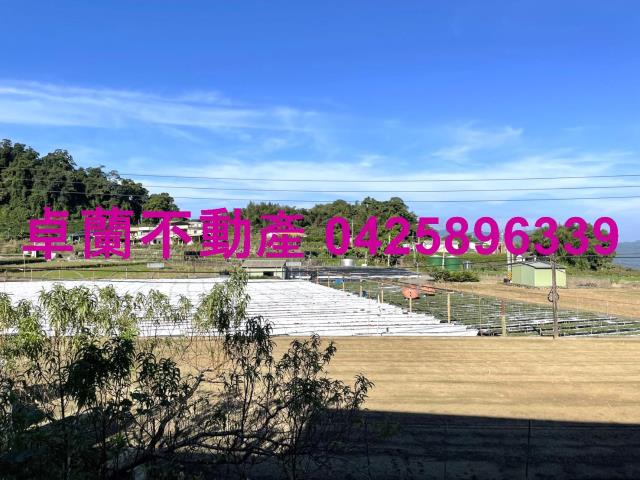 大湖農地-11