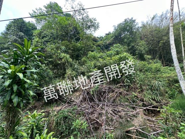 台中山坡地-5