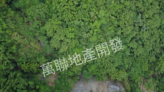 台中山坡地保育區林業-10