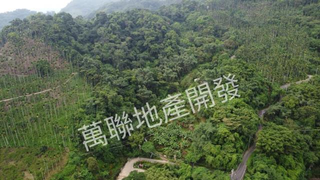 台中山坡地保育區林業-11