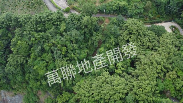 台中山坡地保育區林業-13