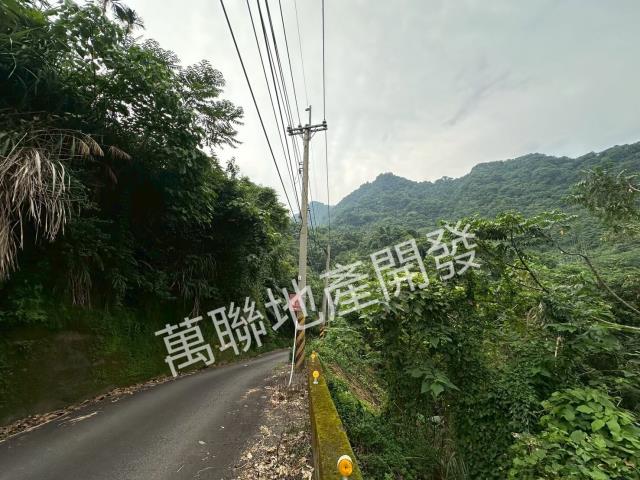 台中山坡地保育區林業-3