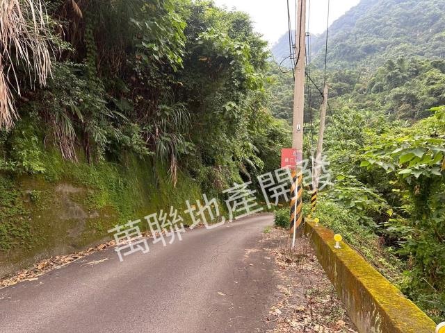 台中山坡地保育區林業-6