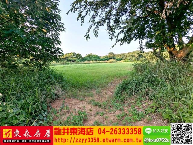 台中龍井旱-2