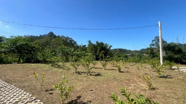 大溪農地-6