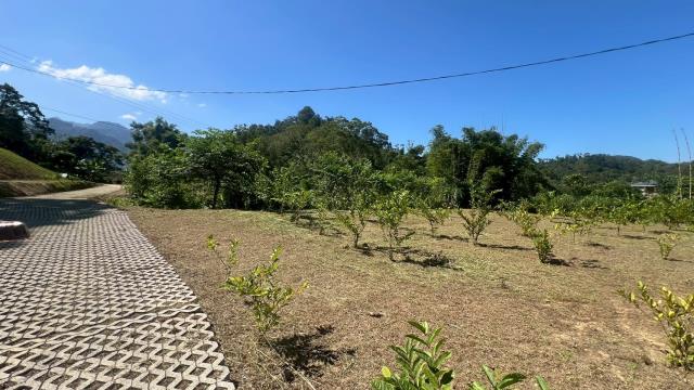 大溪農地-7